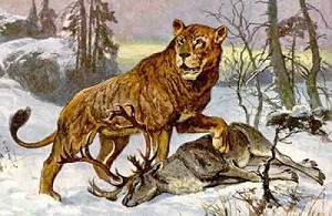 Пожирание жертвы - сайт Солипсизм.Ру